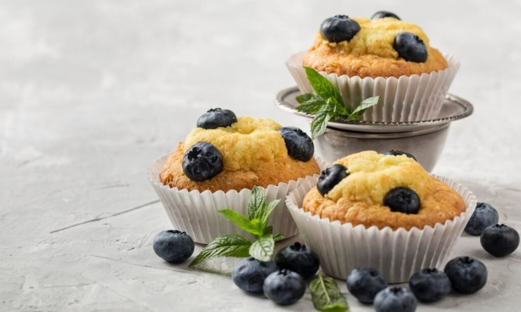 Blueberry Muffin Recipe