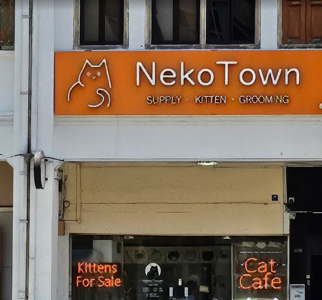Nekotown Cat Cafe